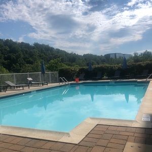 Meet your Posher, Rose